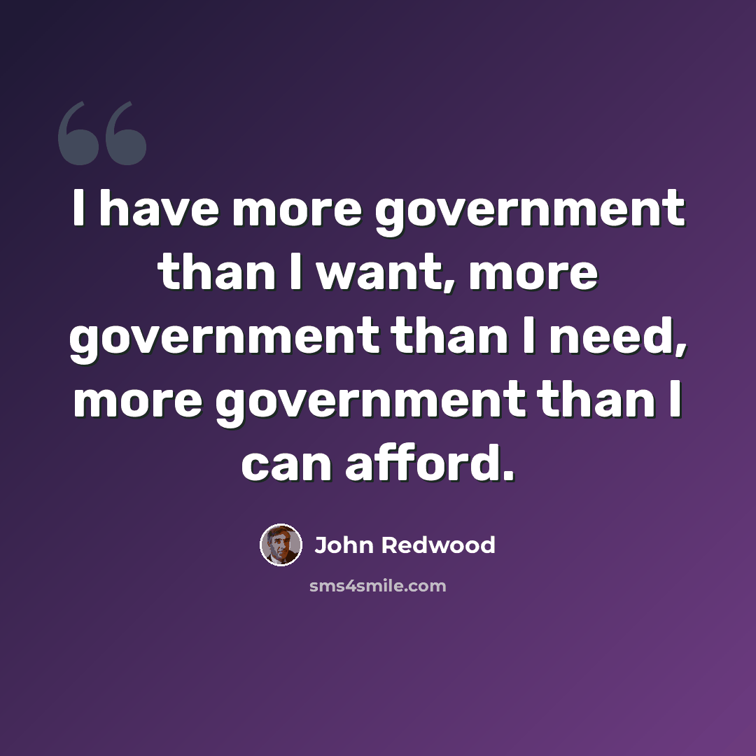 “I have more government than I want, more government than I need, more government than I can afford.” quote by John Redwood