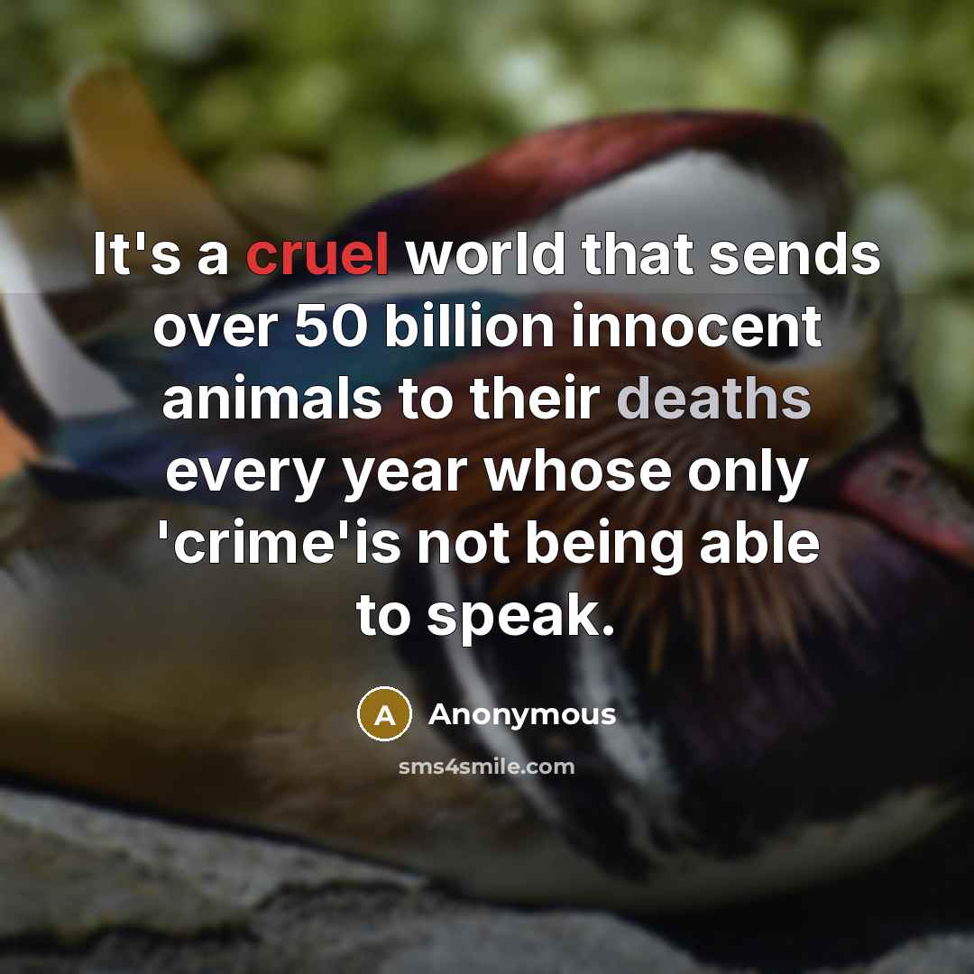 “It's a cruel world that sends over 50 billion innocent animals to their deaths every year whose only 'crime'is not being able to speak.” quote by Anonymous