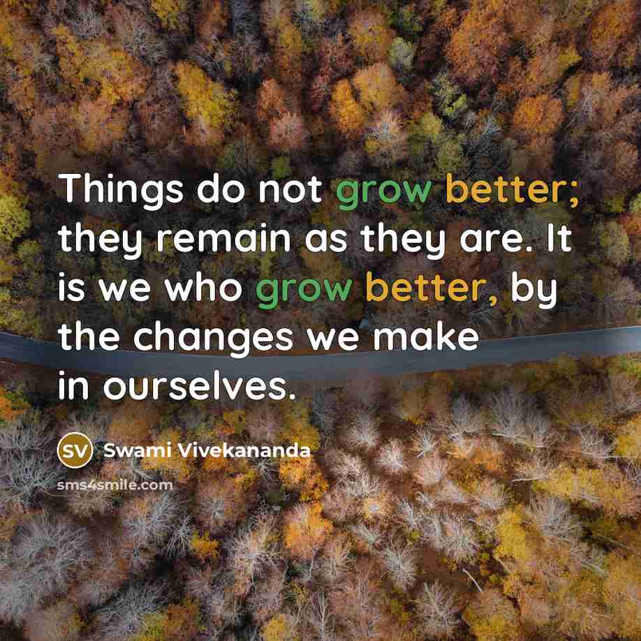 “Things do not grow better; they remain as they are. It is we who grow better, by the changes we make in ourselves.” quote by Swami Vivekananda