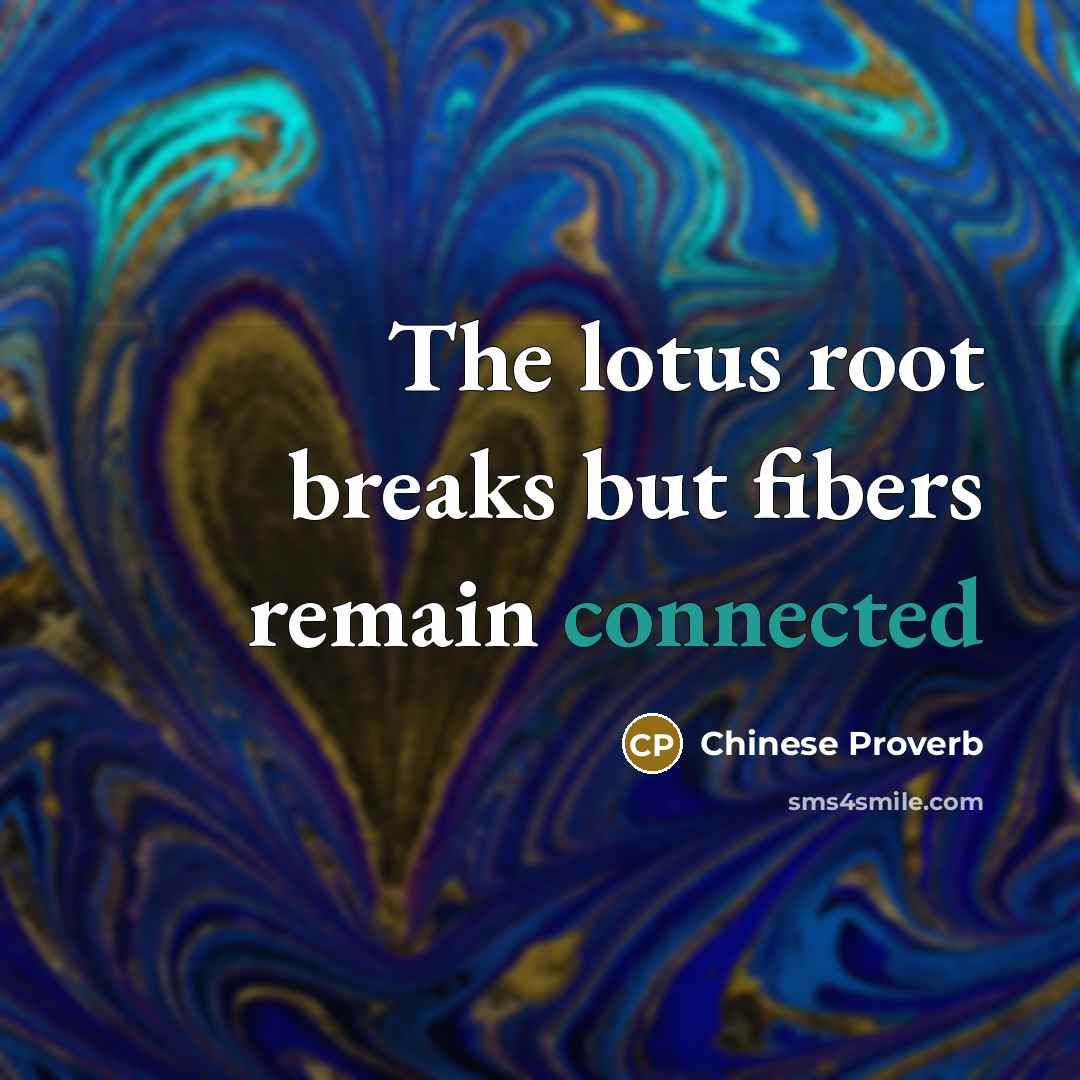 “The lotus root breaks but fibers remain connected” quote by Chinese Proverb
