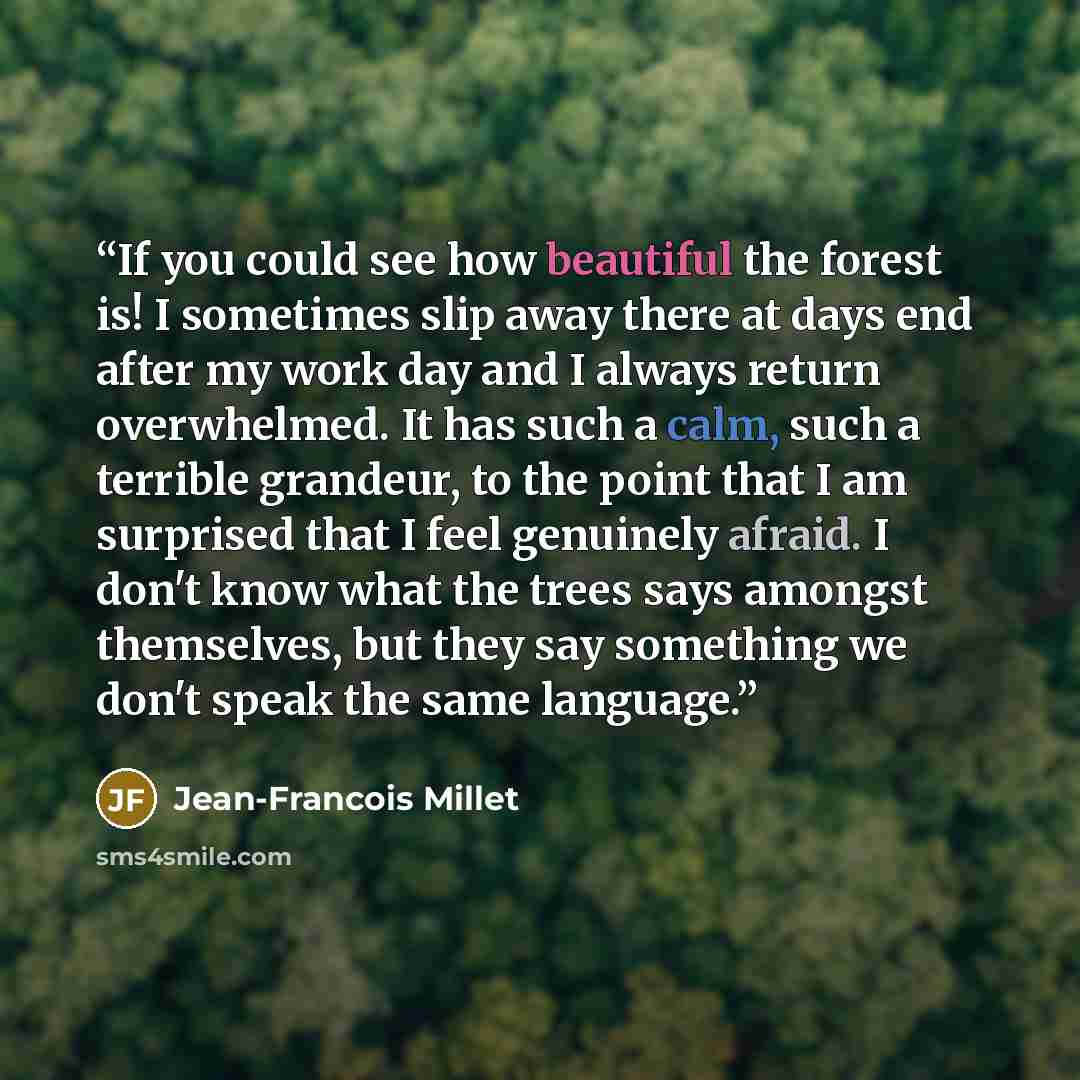 “If you could see how beautiful the forest is! I sometimes slip away there at days end after my work day and I always return overwhelmed. It has such a calm, such a terrible grandeur, to the point that I am surprised that I feel genuinely afraid. I don't know what the trees says amongst themselves…” quote by Jean-François Millet