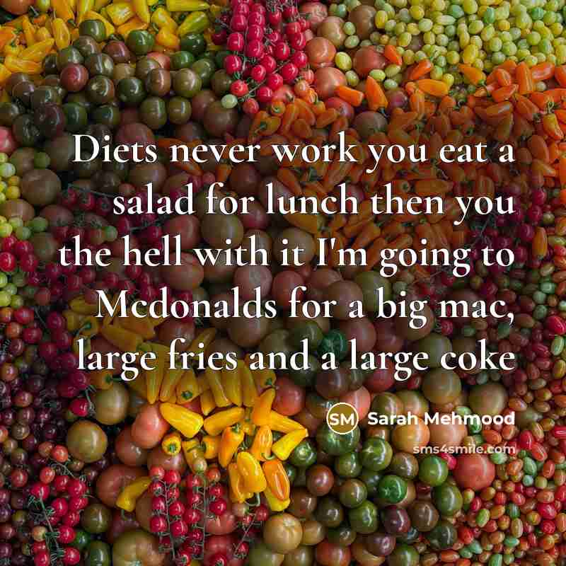 “Diets never work you eat a salad for lunch then you the hell with it I'm going to Mcdonalds for a big mac, large fries and a large coke” quote by Sarah Mehmood