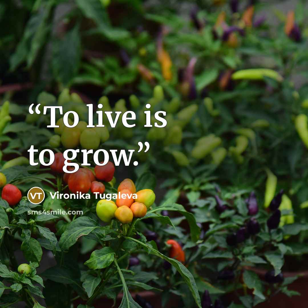 “To live is to grow.” quote by Vironika Tugaleva