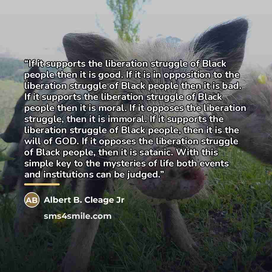 “If it supports the liberation struggle of Black people then it is good. If it is in opposition to the liberation struggle of Black people then it is bad. If it supports the liberation struggle of Black people then it is moral. If it opposes the liberation struggle, then it is immoral. If it…” quote by Anonymous