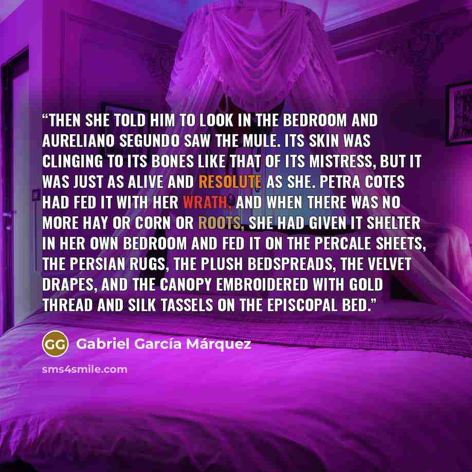 “Then she told him to look in the bedroom and Aureliano Segundo saw the mule. Its skin was clinging to its bones like that of its mistress, but it was just as alive and resolute as she. Petra Cotes had fed it with her wrath, and when there was no more hay or corn or roots, she had given it shelter…” quote by Gabriel García Márquez