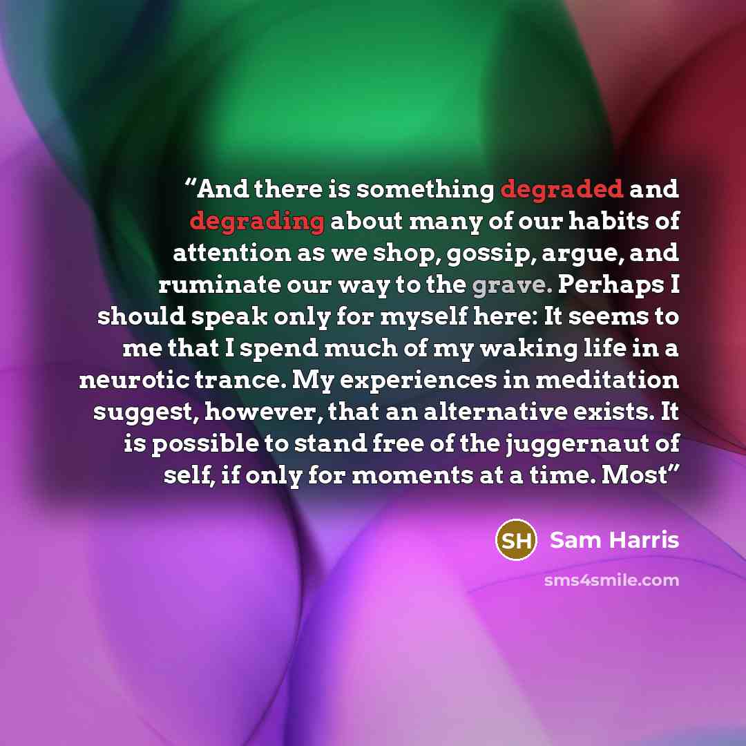 “And there is something degraded and degrading about many of our habits of attention as we shop, gossip, argue, and ruminate our way to the grave. Perhaps I should speak only for myself here: It seems to me that I spend much of my waking life in a neurotic trance. My experiences in meditation…” quote by Sam Harris