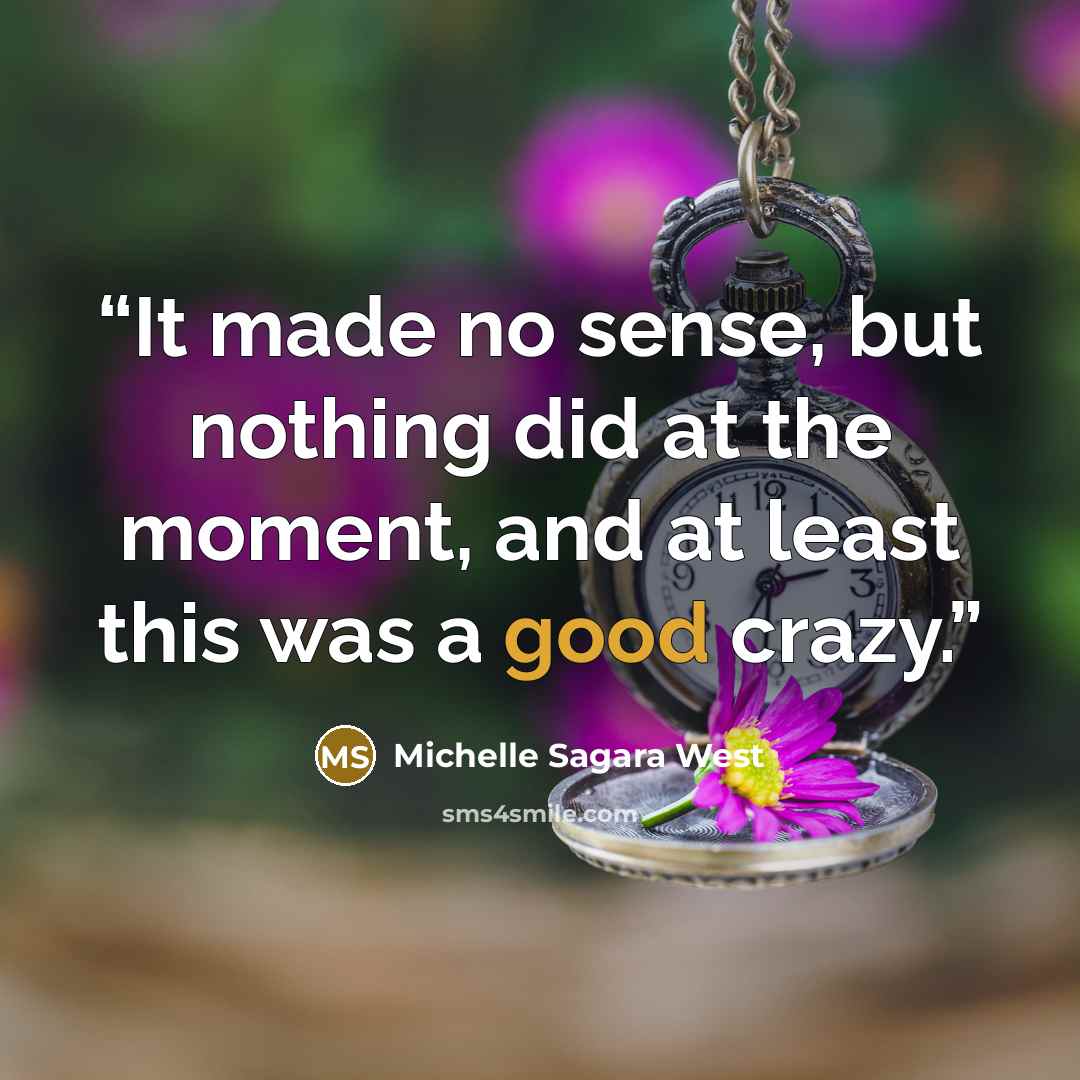“It made no sense, but nothing did at the moment, and at least this was a good crazy.” quote by Michelle Sagara West