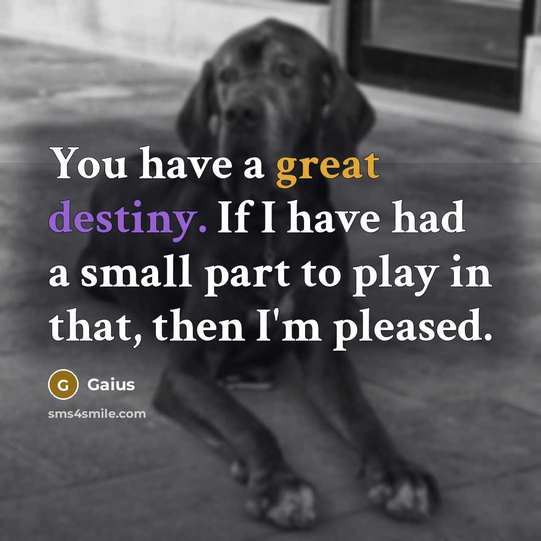 “You have a great destiny. If I have had a small part to play in that, then I'm pleased.” quote by Gaius