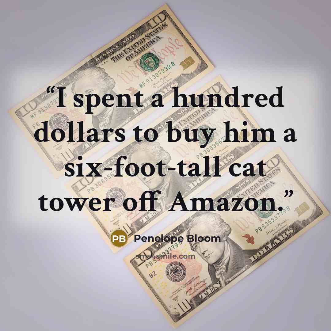 “I spent a hundred dollars to buy him a six-foot-tall cat tower off Amazon.” quote by Penelope Bloom