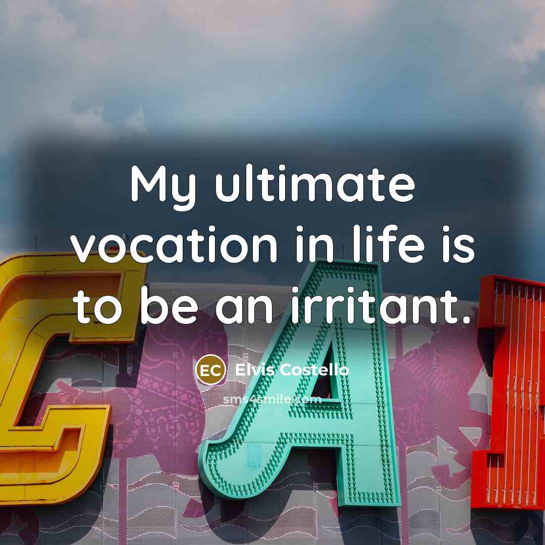 “My ultimate vocation in life is to be an irritant.” quote by Elvis Costello