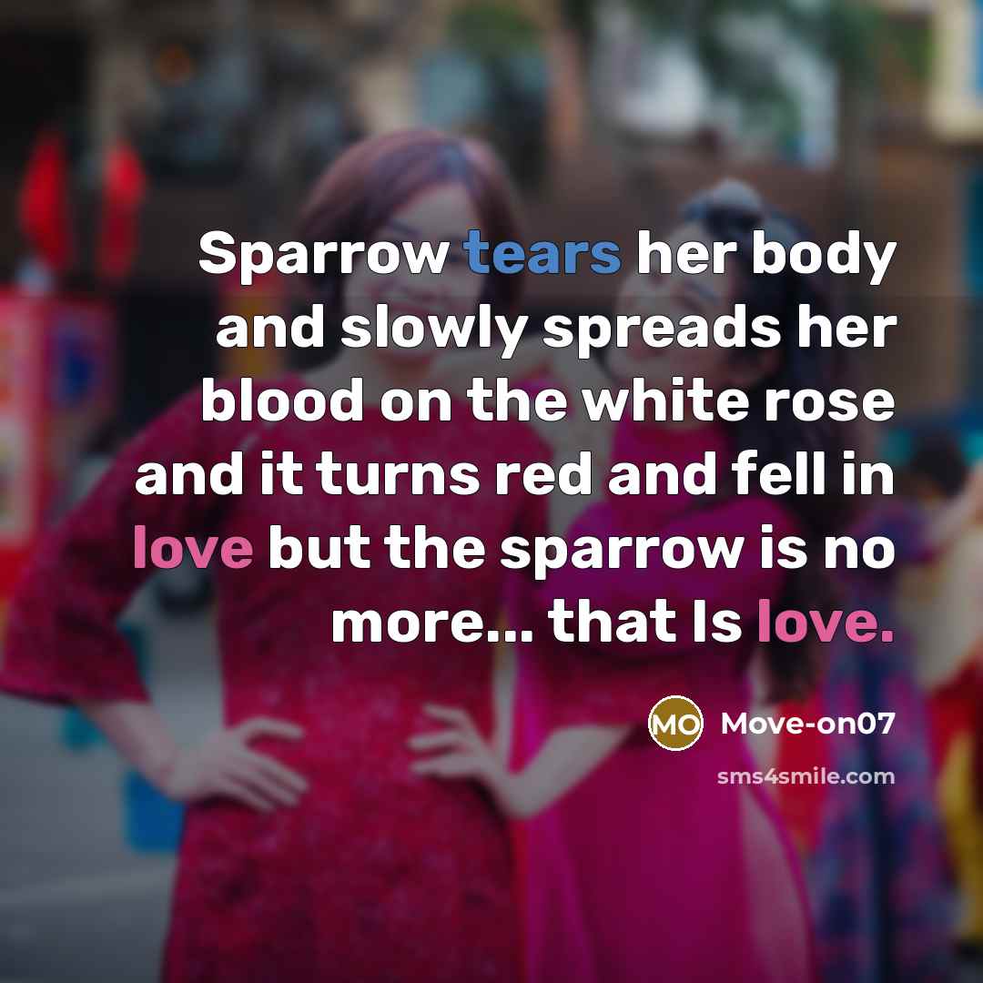 “Sparrow tears her body and slowly spreads her blood on the white rose and it turns red and fell in love but the sparrow is no more... that Is love.” quote by Move-on07