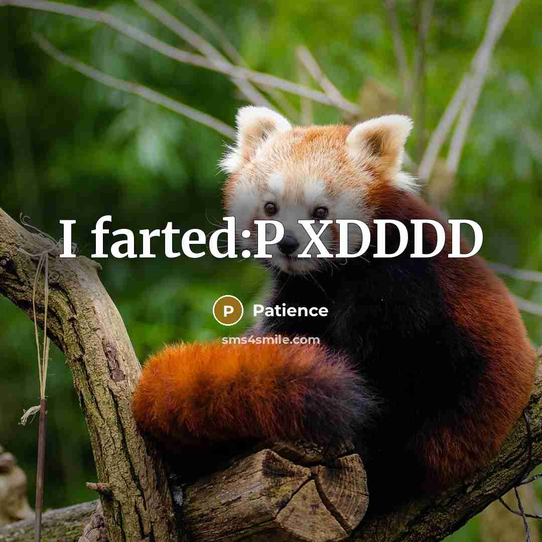 “I farted:P XDDDD” quote by Patience
