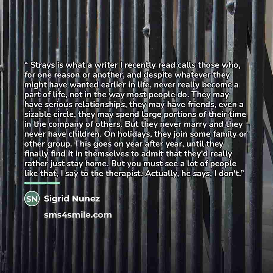 “Strays is what a writer I recently read calls those who, for one reason or another, and despite whatever they might have wanted earlier in life, never really become a part of life, not in the way most people do. They may have serious relationships, they may have friends, even a sizable circle…” quote by Sigrid Nunez