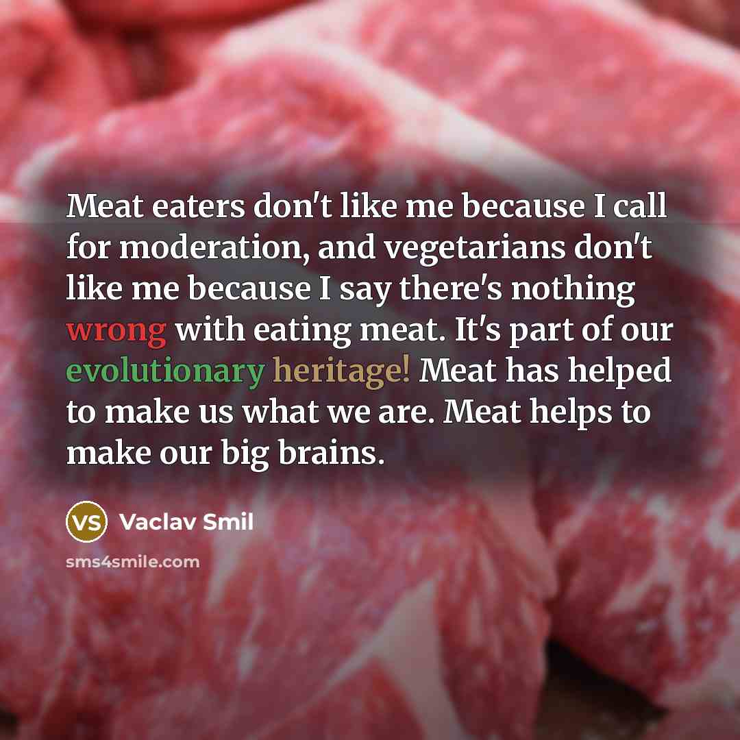 “Meat eaters don't like me because I call for moderation, and vegetarians don't like me because I say there's nothing wrong with eating meat. It's part of our evolutionary heritage! Meat has helped to make us what we are. Meat helps to make our big brains.” quote by Vaclav Smil