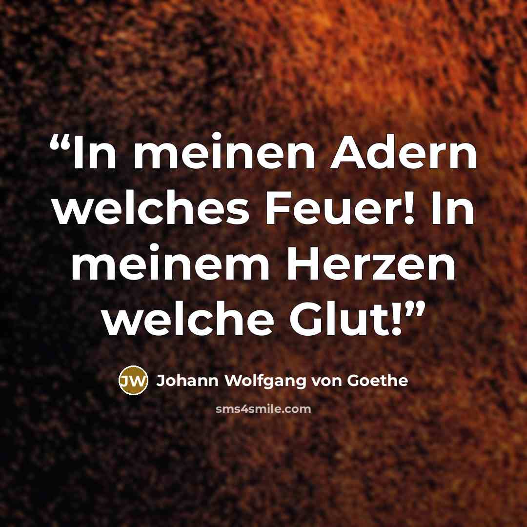 “In meinen Adern welches Feuer! In meinem Herzen welche Glut!” quote by Johann Wolfgang von Goethe