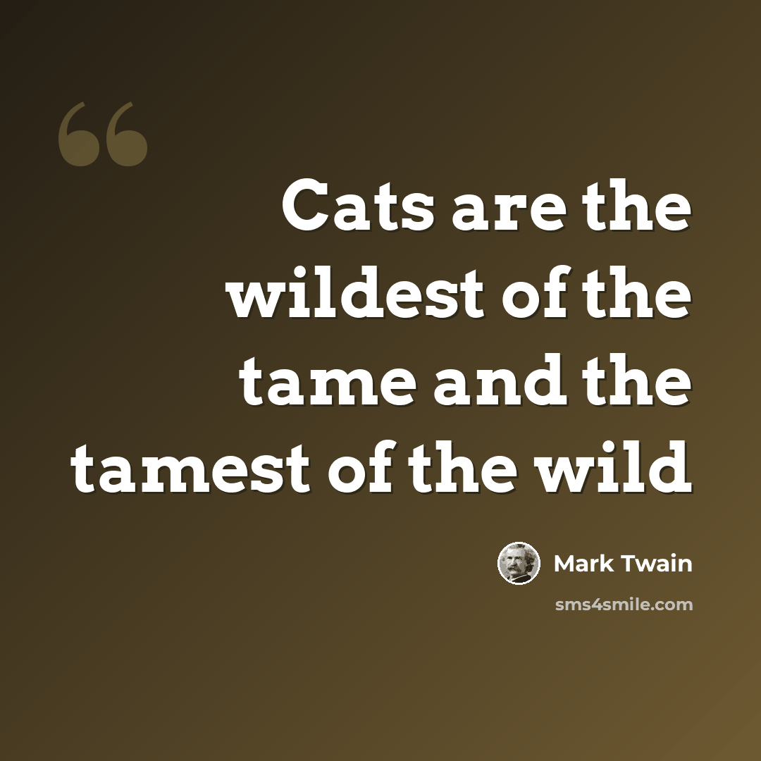 “Cats are the wildest of the tame and the tamest of the wild” quote by Mark Twain