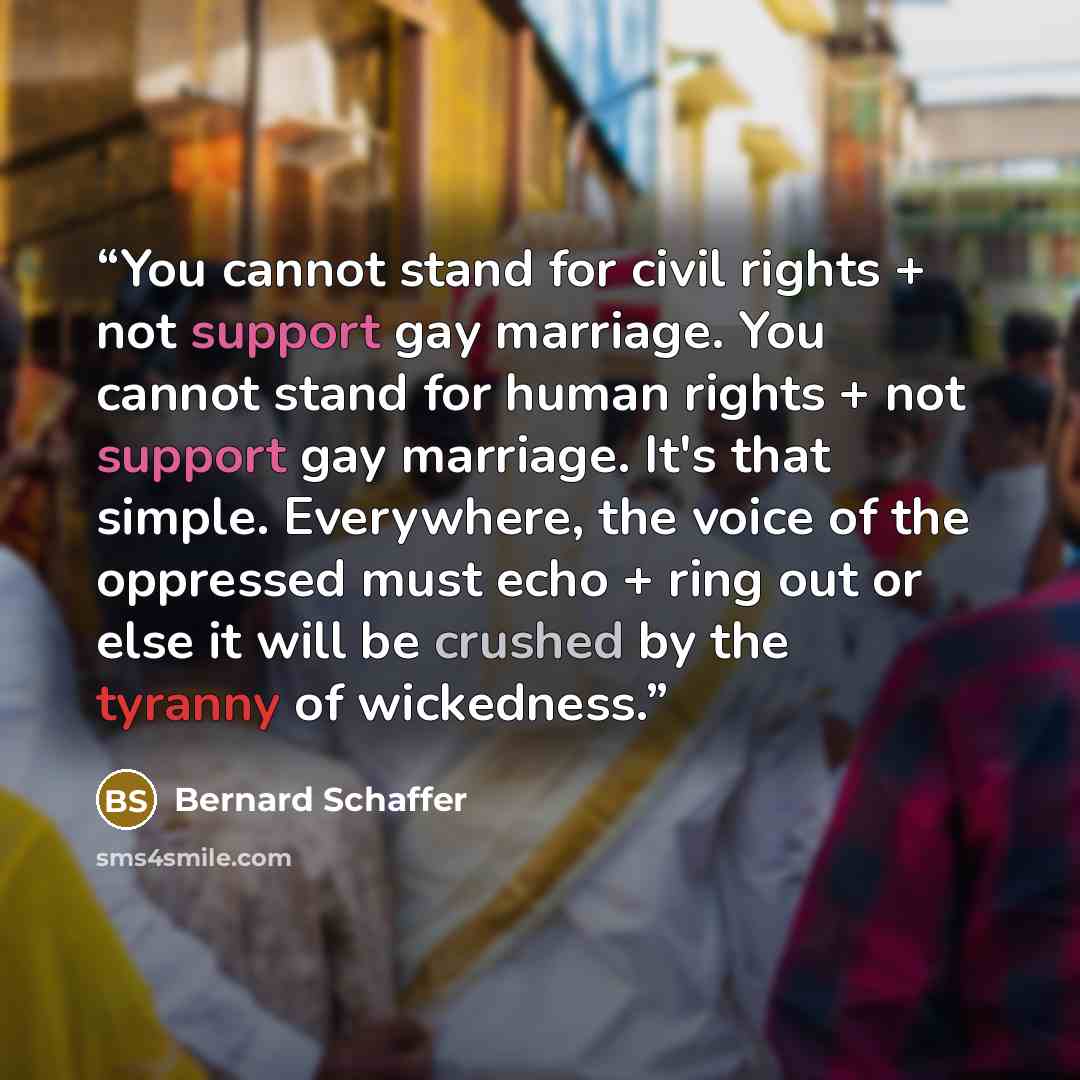 “You cannot stand for civil rights + not support gay marriage. You cannot stand for human rights + not support gay marriage. It's that simple. Everywhere, the voice of the oppressed must echo + ring out or else it will be crushed by the tyranny of wickedness.” quote by Bernard Schaffer