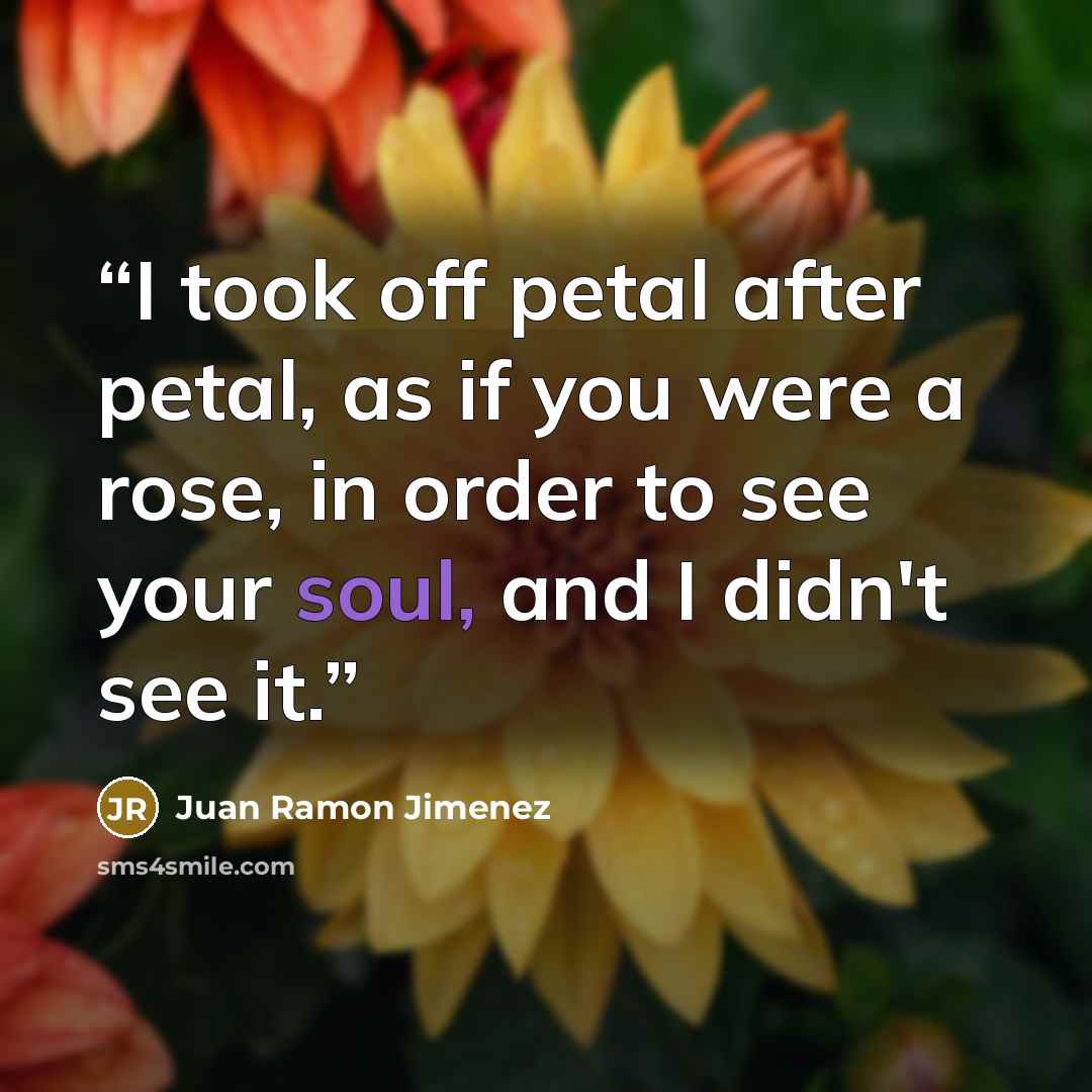 “I took off petal after petal, as if you were a rose, in order to see your soul, and I didn't see it.” quote by Juan Ramón Jiménez