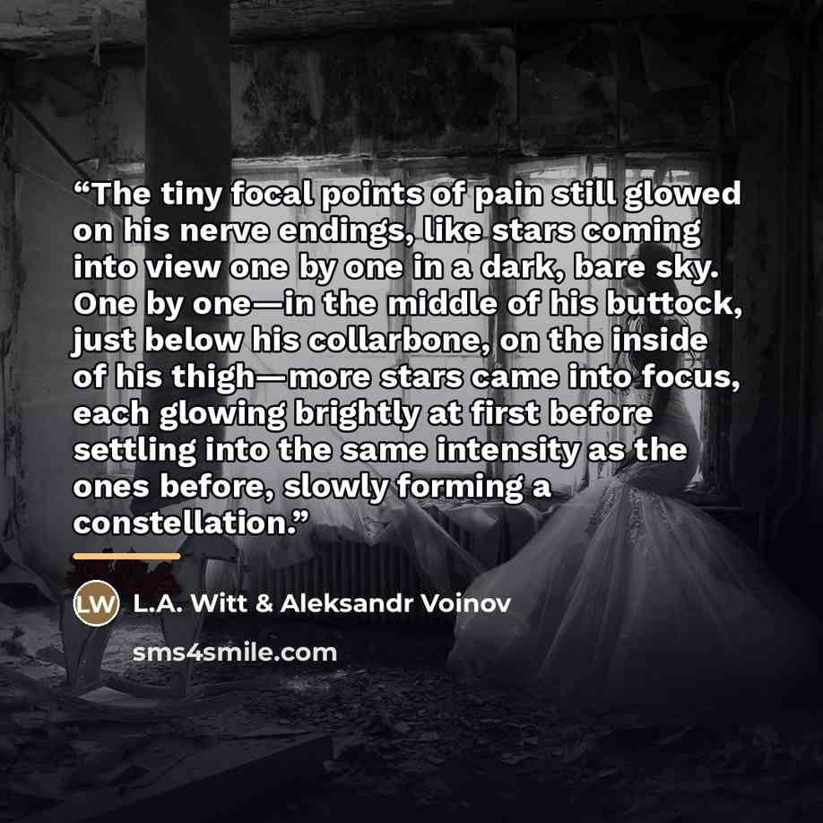 “The tiny focal points of pain still glowed on his nerve endings, like stars coming into view one by one in a dark, bare sky. One by one—in the middle of his buttock, just below his collarbone, on the inside of his thigh—more stars came into focus, each glowing brightly at first before settling…” quote by L.A. Witt & Aleksandr Voinov