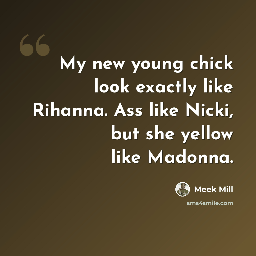 “My new young chick look exactly like Rihanna. Ass like Nicki, but she yellow like Madonna.” quote by Meek Mill