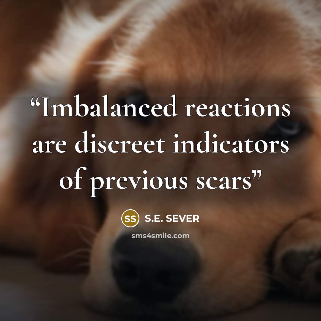 “Imbalanced reactions are discreet indicators of previous scars” quote by S.E. SEVER