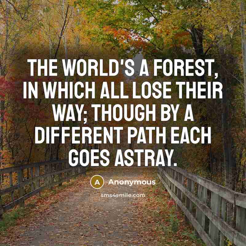 “The world's a forest, in which all lose their way; though by a different path each goes astray.” quote by Anonymous