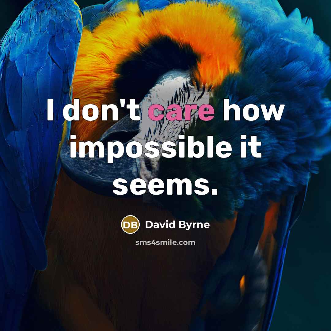 “I don't care how impossible it seems.” quote by David Byrne