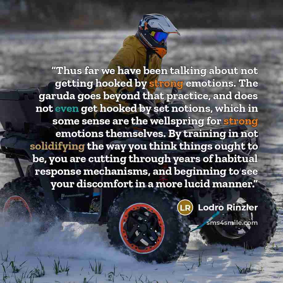 “Thus far we have been talking about not getting hooked by strong emotions. The garuda goes beyond that practice, and does not even get hooked by set notions, which in some sense are the wellspring for strong emotions themselves. By training in not solidifying the way you think things ought to be…” quote by Lodro Rinzler