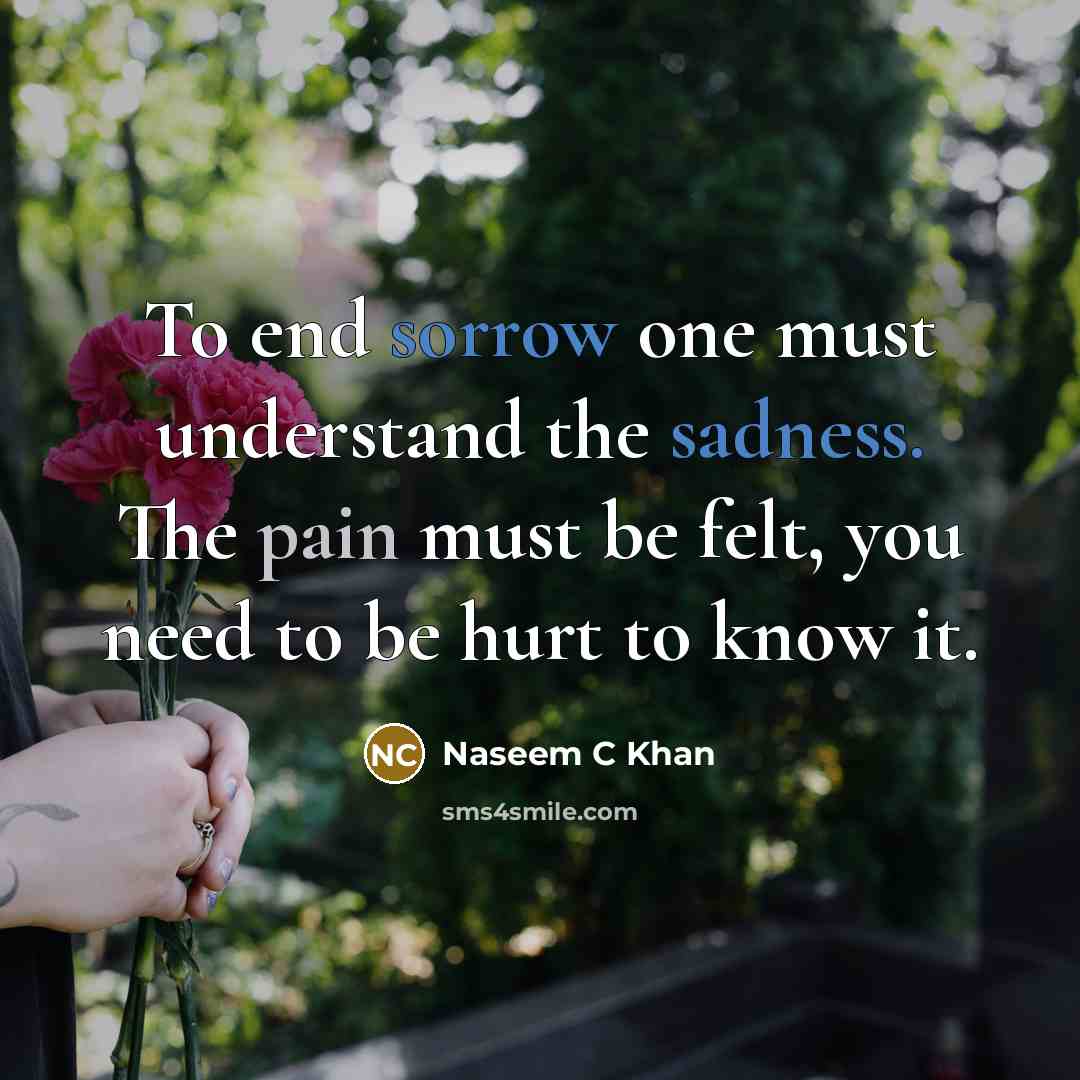 “To end sorrow one must understand the sadness. The pain must be felt, you need to be hurt to know it.” quote by Naseem C Khan