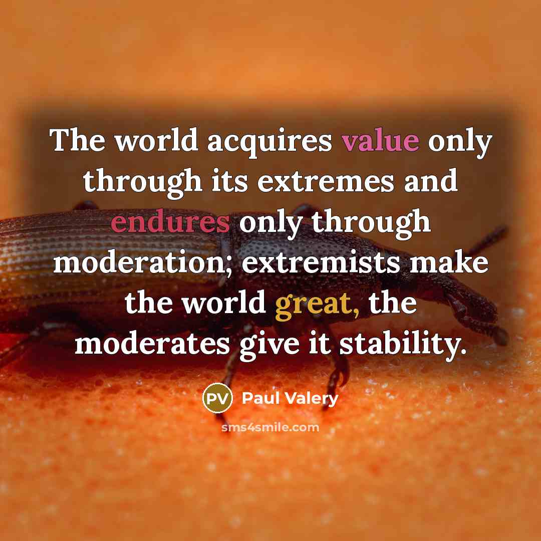 “The world acquires value only through its extremes and endures only through moderation; extremists make the world great, the moderates give it stability.” quote by Paul Valery