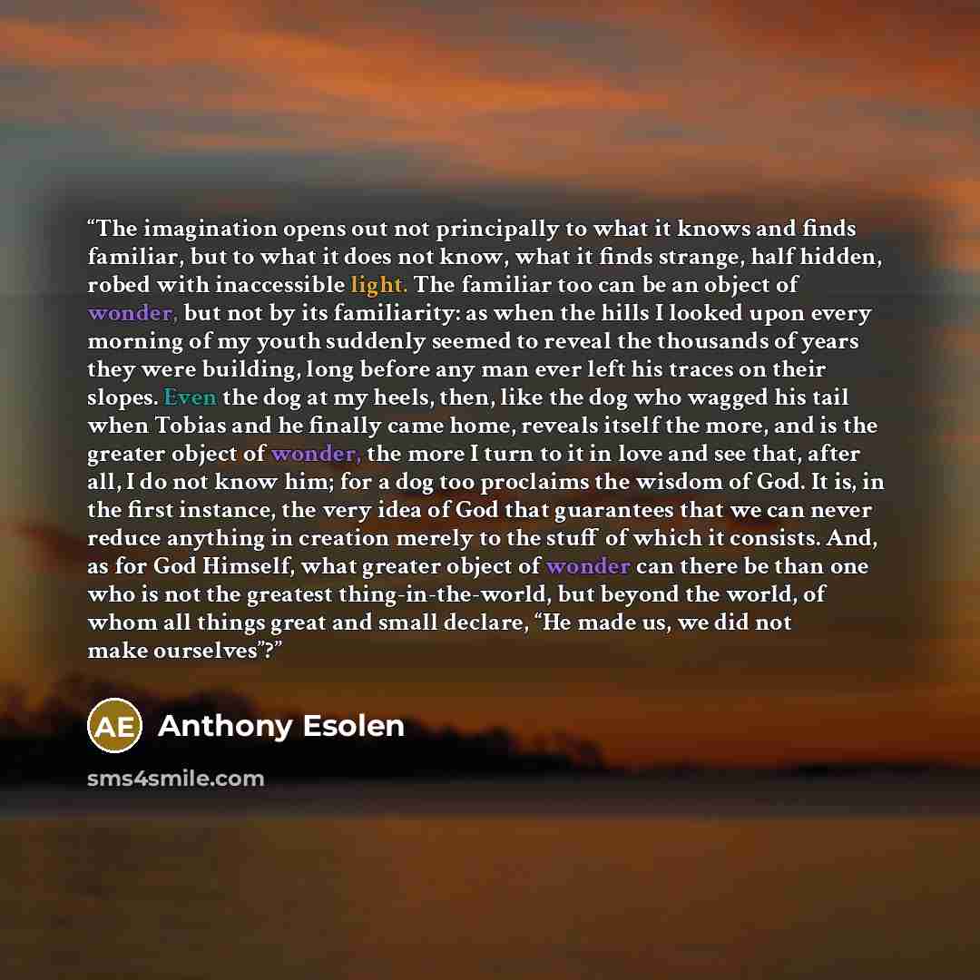 “The imagination opens out not principally to what it knows and finds familiar, but to what it does not know, what it finds strange, half hidden, robed with inaccessible light. The familiar too can be an object of wonder, but not by its familiarity: as when the hills I looked upon every morning of…” quote by Anthony Esolen