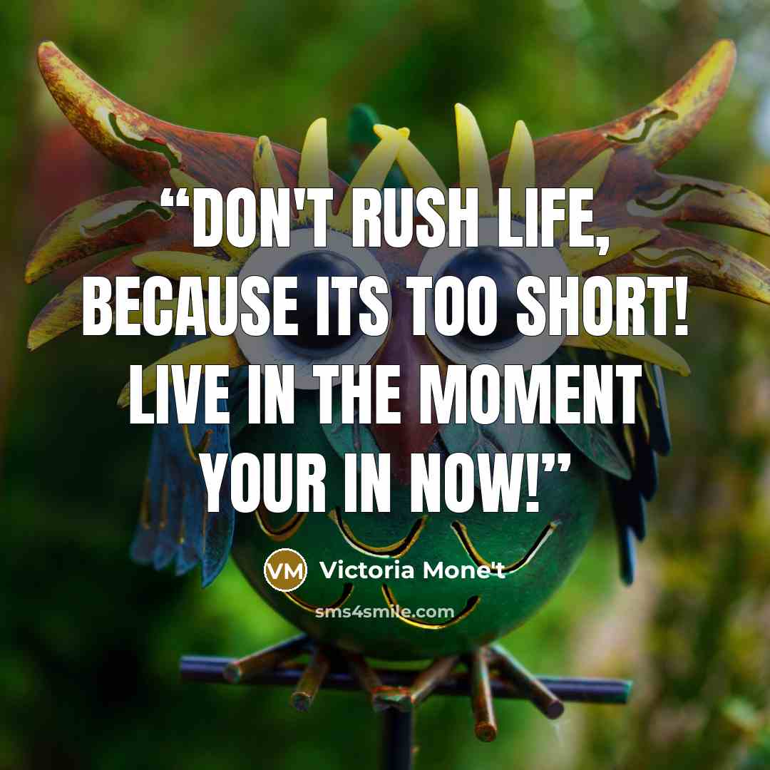 “Don't rush life, because its too short! Live in the moment your in now!” quote by Victoria Mone't