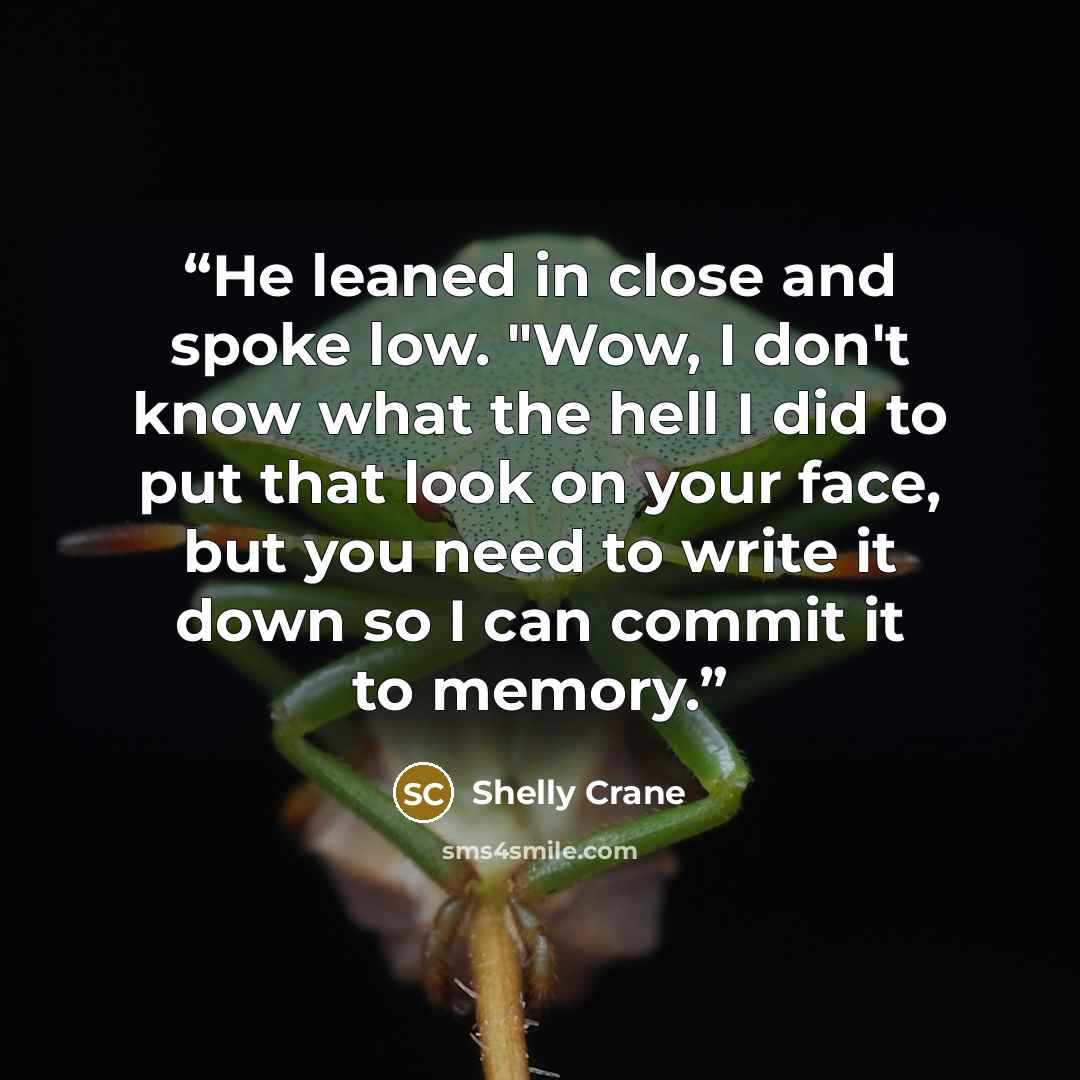 “He leaned in close and spoke low. "Wow, I don't know what the hell I did to put that look on your face, but you need to write it down so I can commit it to memory.” quote by Shelly Crane