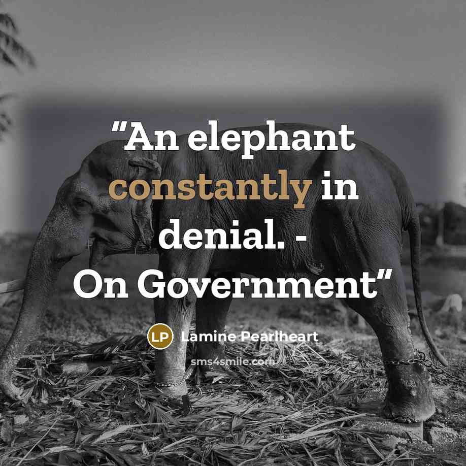 “An elephant constantly in denial. - On Government” quote by Lamine Pearlheart