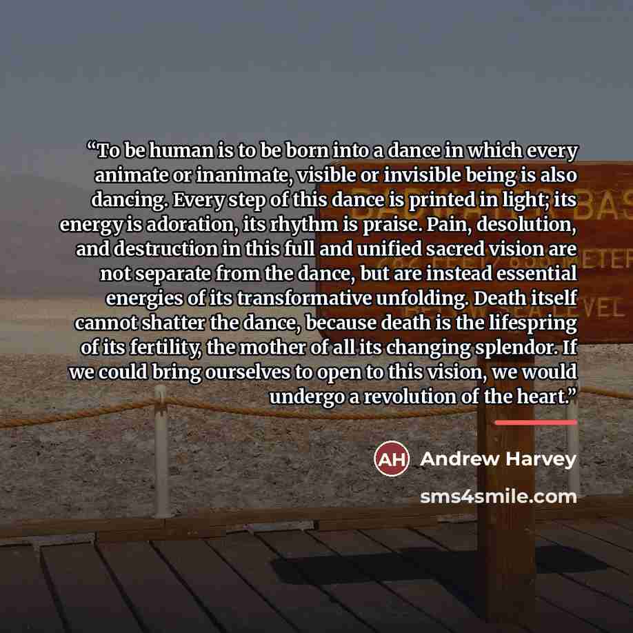 “To be human is to be born into a dance in which every animate or inanimate, visible or invisible being is also dancing. Every step of this dance is printed in light; its energy is adoration, its rhythm is praise. Pain, desolution, and destruction in this full and unified sacred vision are not…” quote by Andrew Harvey