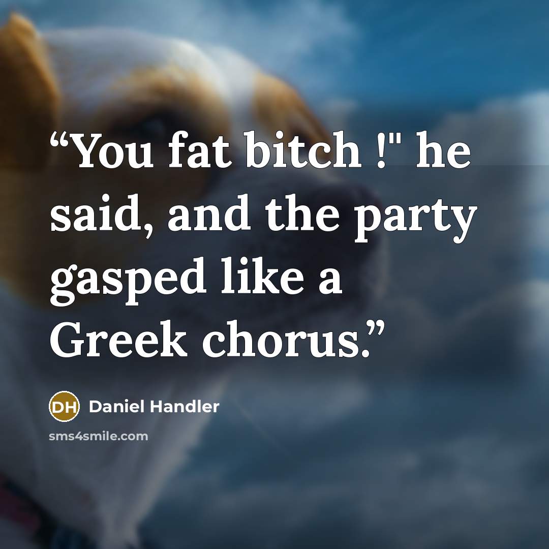 “You fat bitch !" he said, and the party gasped like a Greek chorus.” quote by Daniel Handler