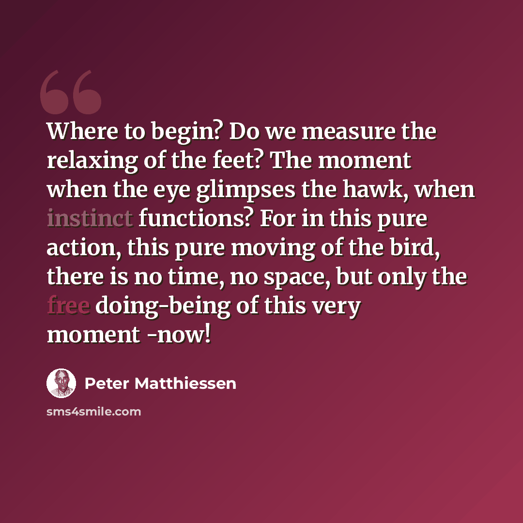 “Where to begin? Do we measure the relaxing of the feet? The moment when the eye glimpses the hawk, when instinct functions? For in this pure action, this pure moving of the bird, there is no time, no space, but only the free doing-being of this very moment -now!” quote by Peter Matthiessen