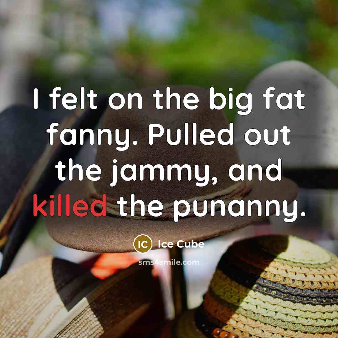 “I felt on the big fat fanny. Pulled out the jammy, and killed the punanny.” quote by Ice Cube