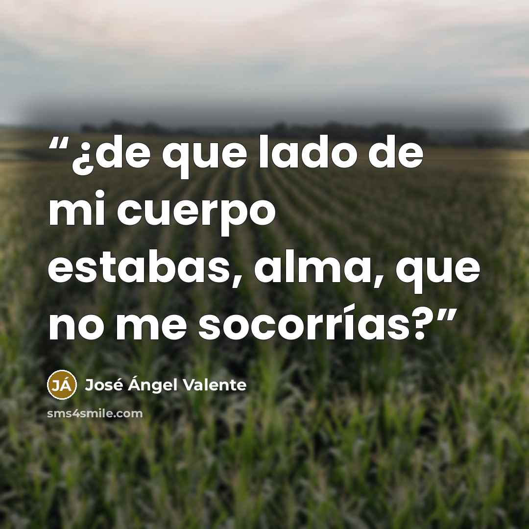 “¿de que lado de mi cuerpo estabas, alma, que no me socorrías?” quote by José Ángel Valente