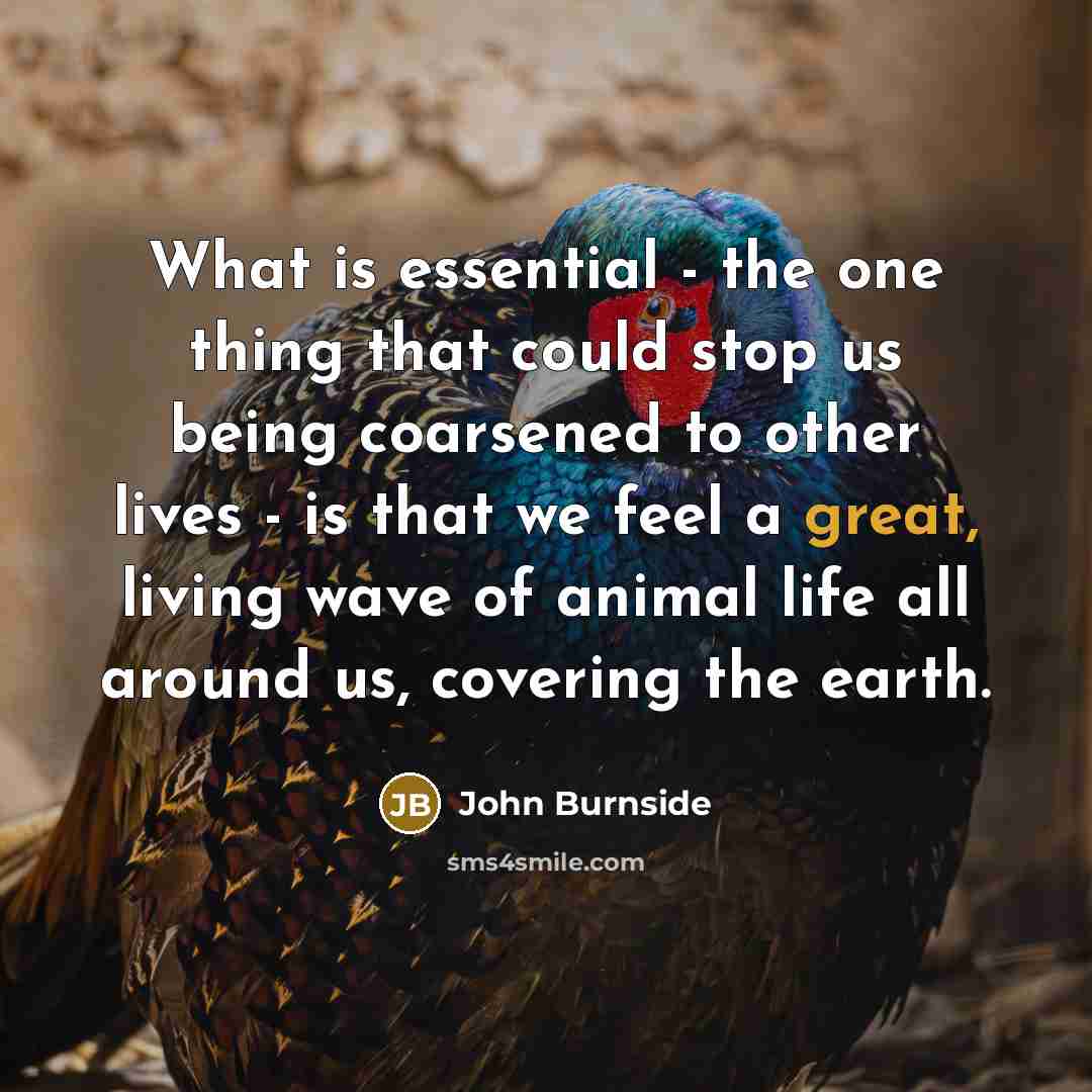 “What is essential - the one thing that could stop us being coarsened to other lives - is that we feel a great, living wave of animal life all around us, covering the earth.” quote by John Burnside