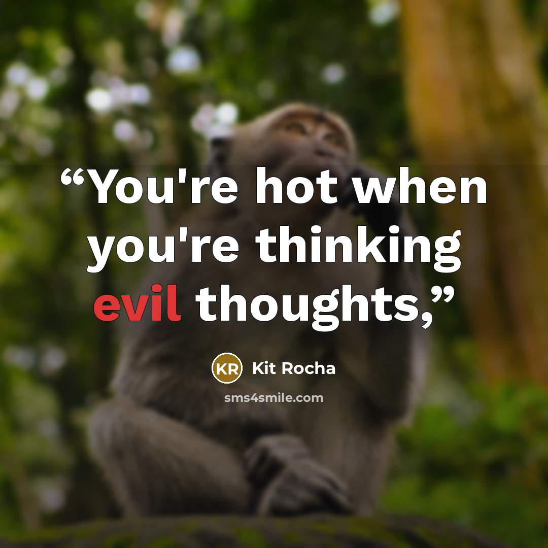 “You're hot when you're thinking evil thoughts,” quote by Kit Rocha