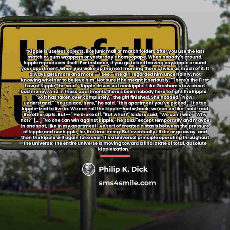 “Kipple is useless objects, like junk mail or match folders after you use the last match or gum wrappers or yesterday's homeopape. When nobody's around, kipple reproduces itself. For instance, if you go to bed leaving any kipple around your apartment, when you wake up the next morning there's twice…” quote by Philip K. Dick