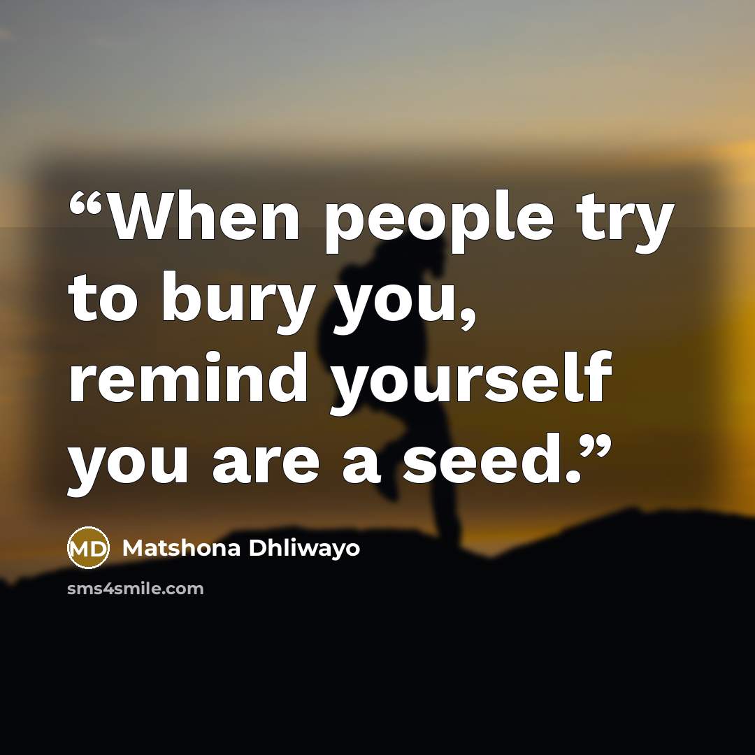 “When people try to bury you, remind yourself you are a seed.” quote by Matshona Dhliwayo