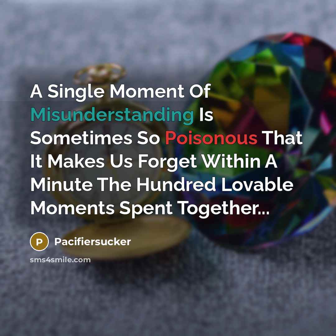 “A Single Moment Of Misunderstanding Is Sometimes So Poisonous That It Makes Us Forget Within A Minute The Hundred Lovable Moments Spent Together...” quote by Pacifiersucker