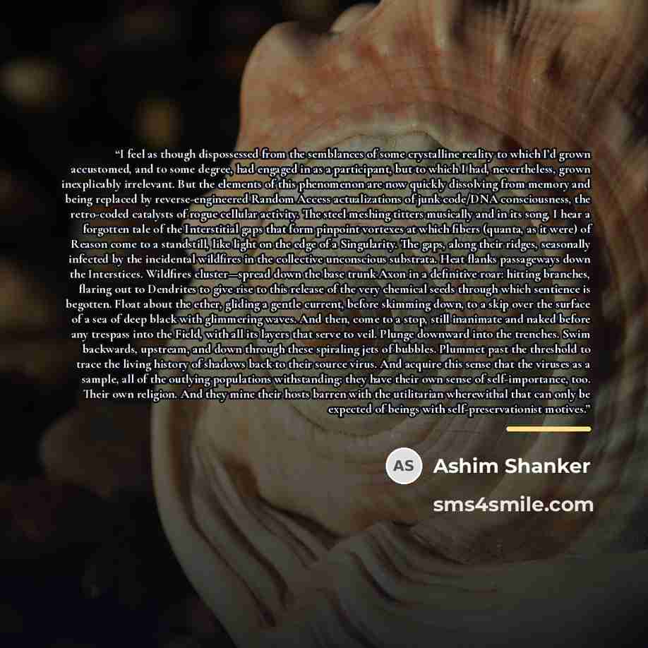 “I feel as though dispossessed from the semblances of some crystalline reality to which I’d grown accustomed, and to some degree, had engaged in as a participant, but to which I had, nevertheless, grown inexplicably irrelevant. But the elements of this phenomenon are now quickly dissolving from…” quote by Ashim Shanker