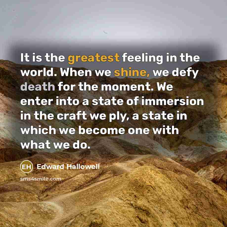“It is the greatest feeling in the world. When we shine, we defy death for the moment. We enter into a state of immersion in the craft we ply, a state in which we become one with what we do.” quote by Edward Hallowell