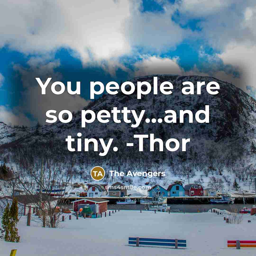“You people are so petty...and tiny. -Thor” quote by The Avengers