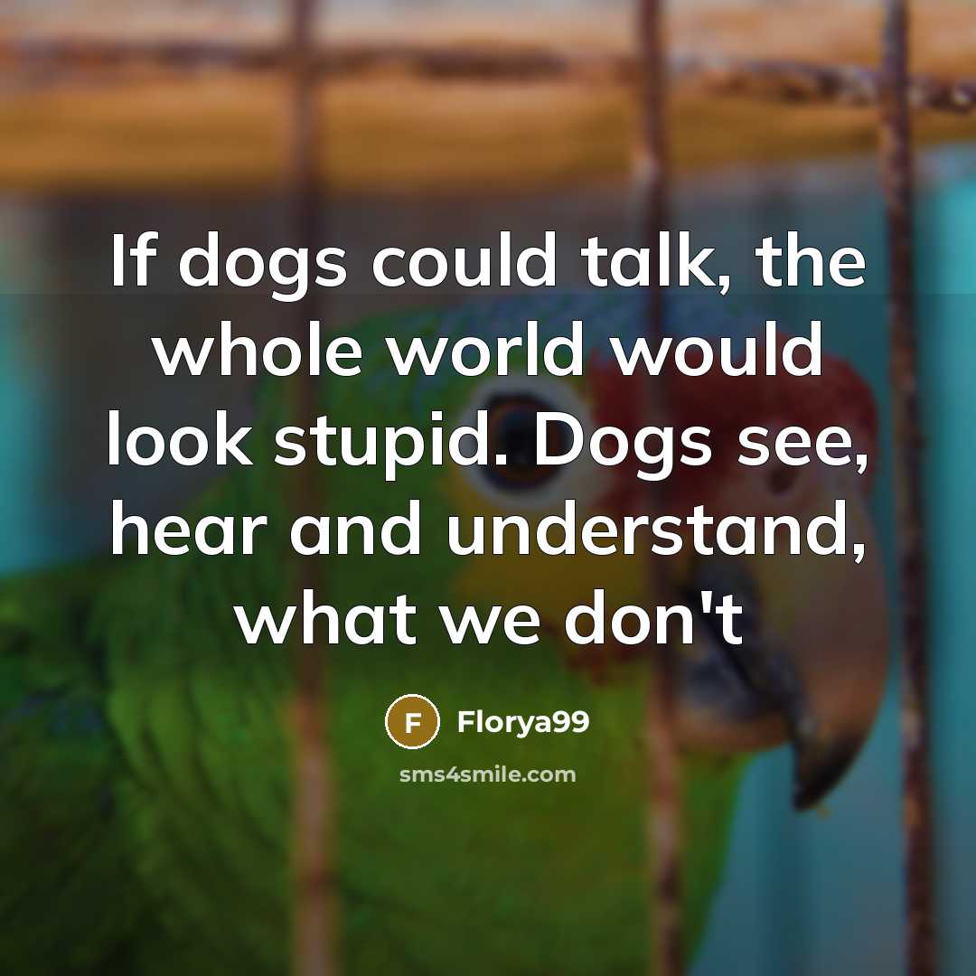 “If dogs could talk, the whole world would look stupid. Dogs see, hear and understand, what we don't” quote by Florya99