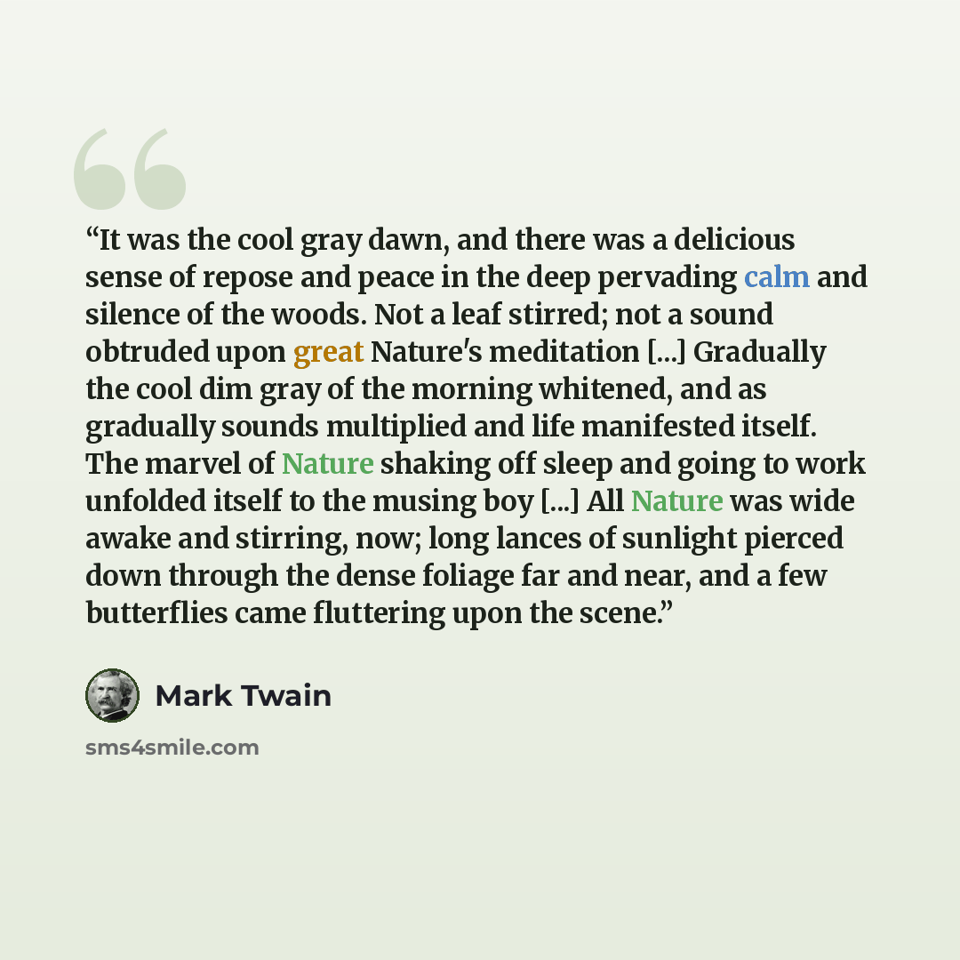 “It was the cool gray dawn, and there was a delicious sense of repose and peace in the deep pervading calm and silence of the woods. Not a leaf stirred; not a sound obtruded upon great Nature's meditation [...] Gradually the cool dim gray of the morning whitened, and as gradually sounds multiplied…” quote by Mark Twain