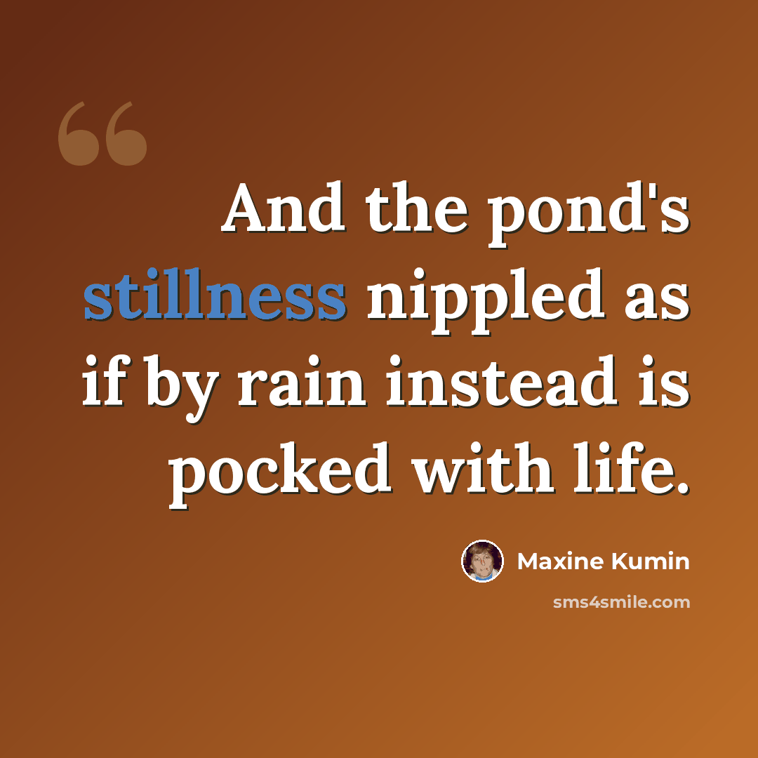 “And the pond's stillness nippled as if by rain instead is pocked with life.” quote by Maxine Kumin